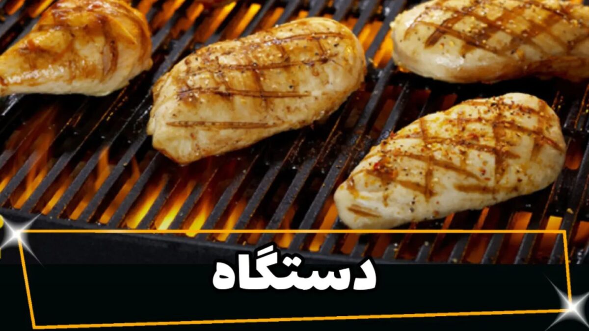 آشنایی با انواع دستگاه گریل